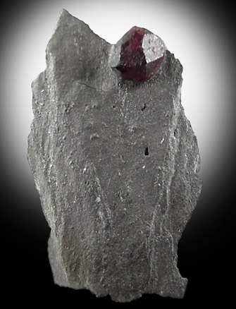 Almandine Garnet in Graphite from Erving, Franklin County, Massachusetts