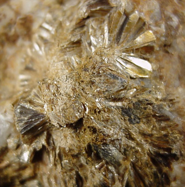 Pyrophyllite from Gundagai, New South Wales, Australia
