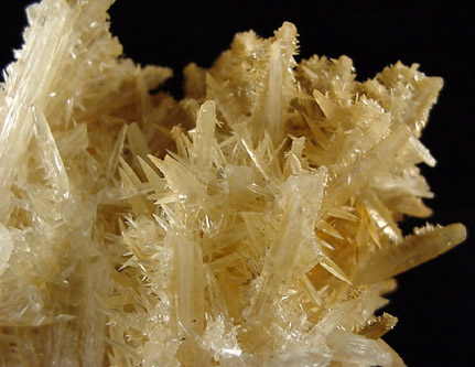 Calcite var. Cactus Calcite from Yerington District, Lyon County, Nevada