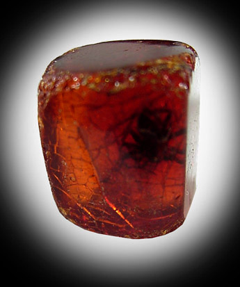 Amber with Spider inclusion from Germany