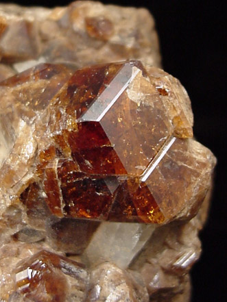 Andradite Garnet from Garnet Hill, Calaveras County, California