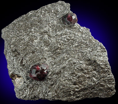 Almandine Garnet in Mica Schist from Garnet Ledge, east shore of Stikine River Delta, 11 km north of Wrangell, Alaska