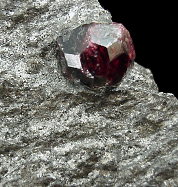 Almandine Garnet in Mica Schist from Garnet Ledge, east shore of Stikine River Delta, 11 km north of Wrangell, Alaska