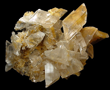 Gypsum var. Selenite from Naica Mine, Saucillo, Chihuahua, Mexico
