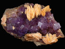 Fluorite and Barite from La Cabaña, Punta Arrobado, north of Berbes, Ribadesella, Asturias, Spain