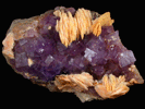 Fluorite and Barite from La Cabaa, Punta Arrobado, north of Berbes, Ribadesella, Asturias, Spain