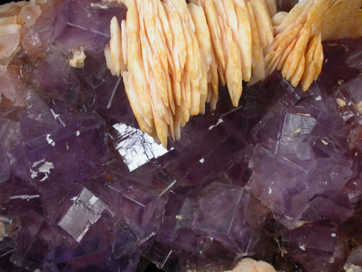 Fluorite and Barite from La Cabaa, Punta Arrobado, north of Berbes, Ribadesella, Asturias, Spain