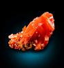 Crocoite from Dundas, Tasmania, Australia