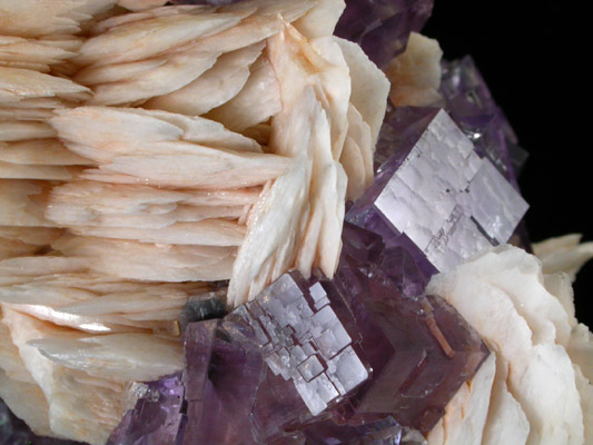 Fluorite and Barite from Caravia-Berbes District, Asturias, Spain