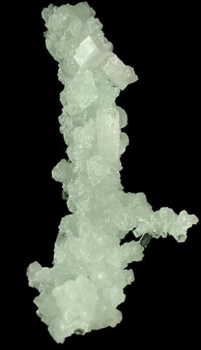 Apophyllite on Prehnite from Mumbai, Maharashtra, India