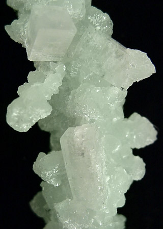 Apophyllite on Prehnite from Mumbai, Maharashtra, India