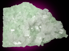 Apophyllite on Prehnite from Mumbai, Maharashtra, India