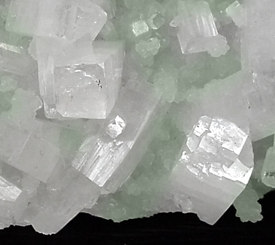 Apophyllite on Prehnite from Mumbai, Maharashtra, India