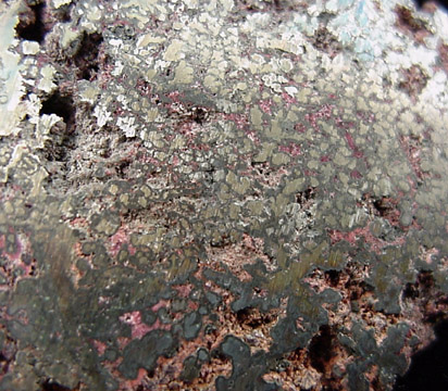 Silver from Cobalt District, Ontario, Canada