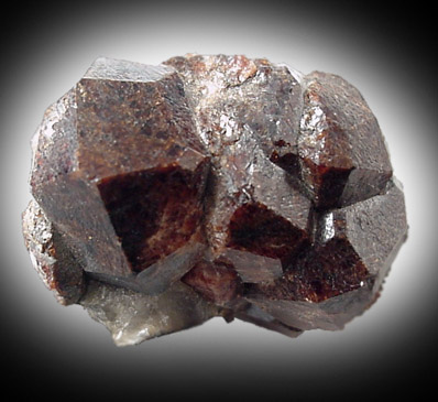 Andradite Garnet from Mica Lode Mine, Royal Gorge, Fremont County, Colorado