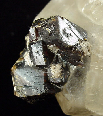 Sphalerite on Calcite from Delphi Limestone Co. Quarry, Carroll County, Indiana