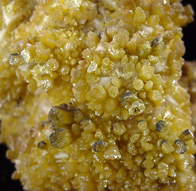 Mimetite from Aquiles Serdan, Chihuahua, Mexico