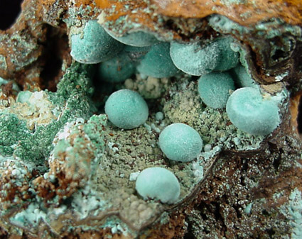 Rosasite from Mina Ojuela, Mapimi, Durango, Mexico