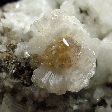 Heulandite-Ca and Stilbite from Braen's Quarry, Haledon, Passaic County, New Jersey