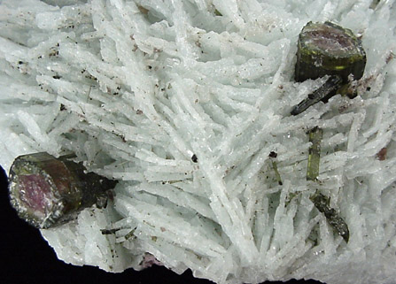 Elbaite on Albite from Governador Valadares, Minas Gerais, Brazil