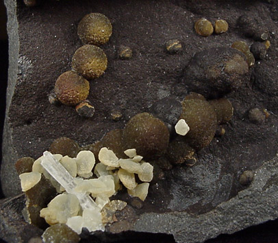 Siderite from Estacada, Clackamas County, Oregon