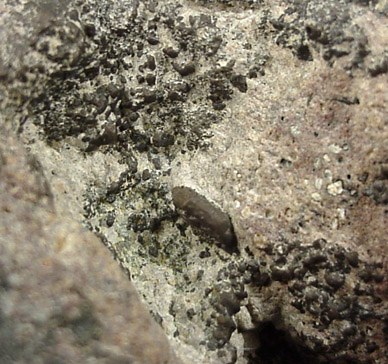 Algodonite from Painsdale, Houghton County, Michigan