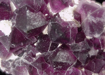 Fluorite in Quartz from Judith Lynn Claim, Grant County, New Mexico