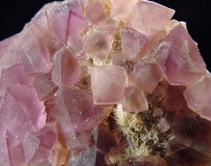 Fluorite from Judith Lynn Claim, Grant County, New Mexico