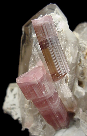 Elbaite Tourmaline in Quartz from Minas Gerais, Brazil