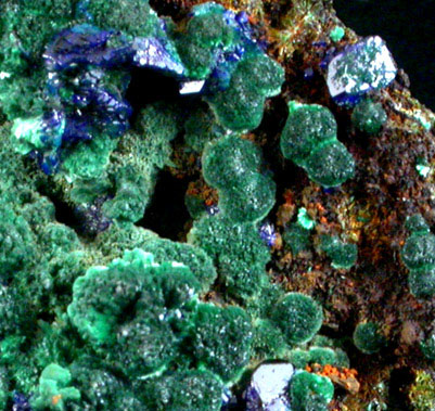 Azurite and Malachite from Bisbee, Warren District, Cochise County, Arizona