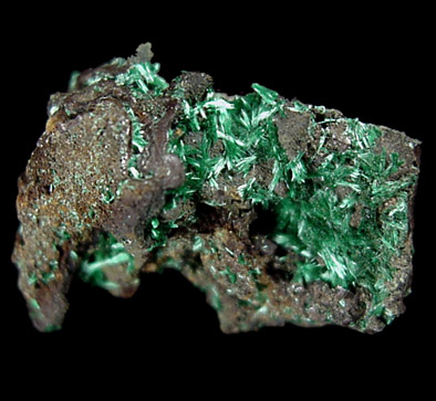 Malachite from Bisbee, Warren District, Cochise County, Arizona