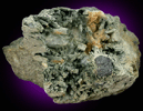Actinolite pseudomorph after Diopside (Uralite) from Calumet Mine, 12 km NNE of Salida, Chaffee County, Colorado