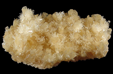 Gypsum var. Selenite from Lake Charm, Victoria, Australia
