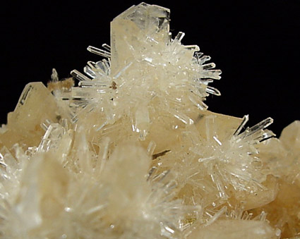 Gypsum var. Selenite from Lake Charm, Victoria, Australia