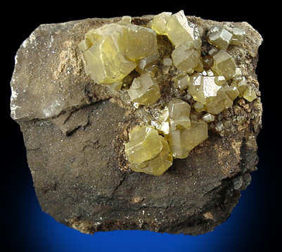 Sulfur with Bitumin from Ferrara, Italy