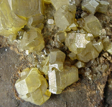 Sulfur with Bitumin from Ferrara, Italy