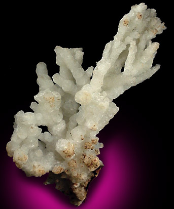 Aragonite var. Flos Ferri from Organ Mountains, Dona Ana County, New Mexico