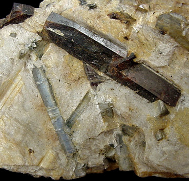 Staurolite and Kyanite from Val di Fassa, Trentino-Alto Adige, Italy