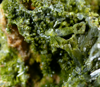 Pyromorphite from Wheatley Mine, Phoenixville, Chester County, Pennsylvania