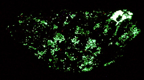 Hematite, Willemite, Zincite from Franklin Mining District, Sussex County, New Jersey (Type Locality for Zincite)