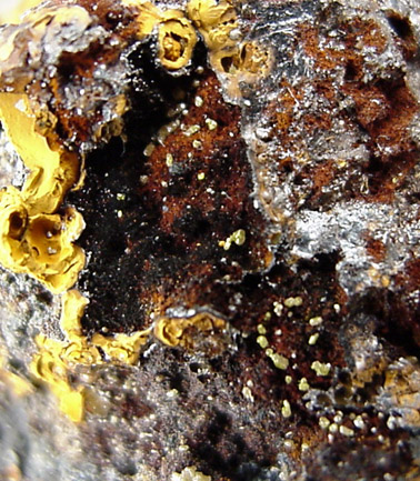 Chlorargyrite (Bromian) from Broken Hill, New South Wales, Australia