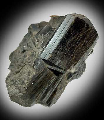 Schorl Tourmaline from Randolph County, Alabama