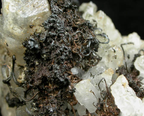 Silver on Calcite from Andres del Rio District, Batopilas, Chihuahua, Mexico