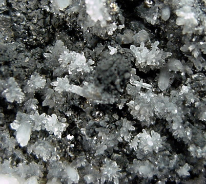 Tetrahedrite, Calcite, Quartz from Bonanza Mine, Aranzazu, Concepcion del Oro, Zacatecas, Mexico