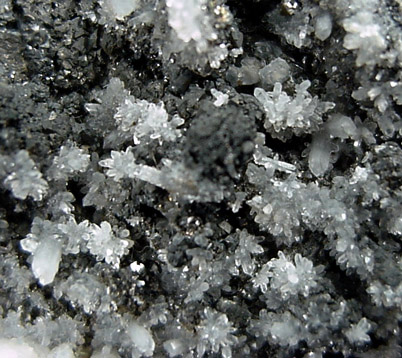 Tetrahedrite, Calcite, Quartz from Bonanza Mine, Aranzazu, Concepcion del Oro, Zacatecas, Mexico