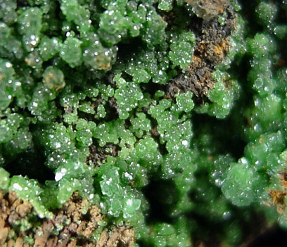 Conichalcite from Bisbee, Warren District, Cochise County, Arizona