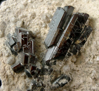 Buergerite Tourmaline from near Mexquitic, San Luis Potosi, Mexico (Type Locality for Buergerite)