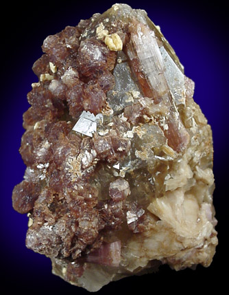 Lepidolite, Rubellite Tourmaline on Quartz from Himalaya Mine, San Diego County, California