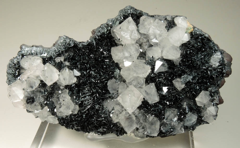 Quartz var. Cumberland Habit on Specular Hematite from Egremont, West Cumberland Iron Mining District, Cumbria, England