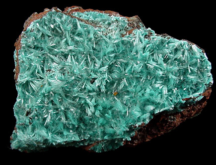 Aurichalcite from Mina Ojuela, Mapimi, Durango, Mexico